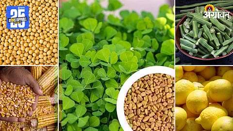 Agriculture Market Products