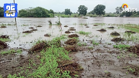 Crop Damage