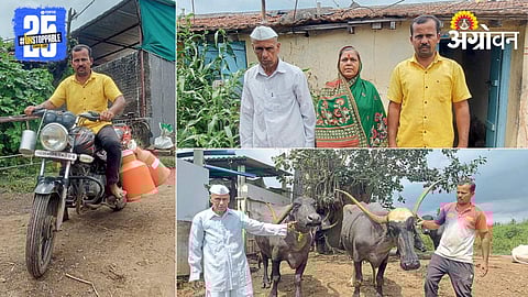 Dairy Farming Success 