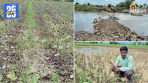 Agriculture Loss