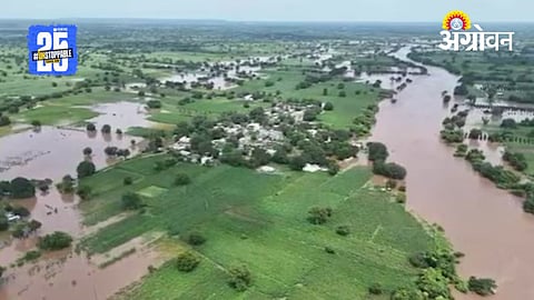 Rain Crop Damage