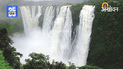 Tamhini Rainfall