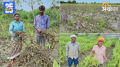 Crop Damage