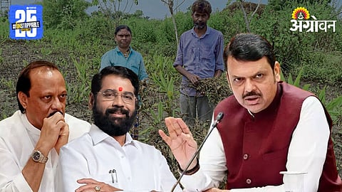 Maharashtra Farmer Relief
