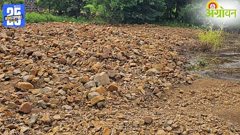 Maharashtra Crop Damage