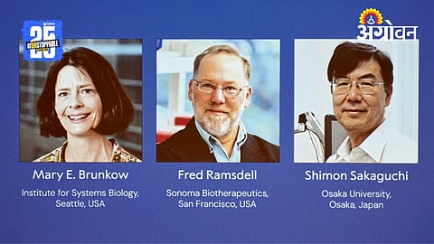Nobel Prize 2025: रोगप्रतिकारशक्तीवरील संशोधनाचा सन्मान 