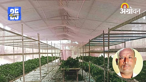 Silk Farming