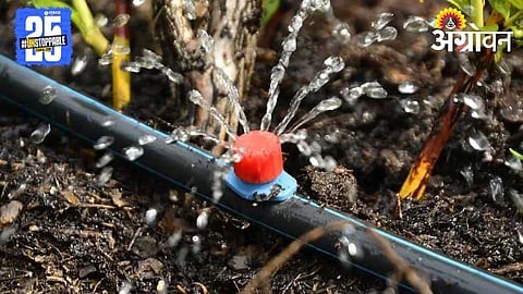 Drip Irrigation