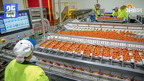 Ai Food Storage