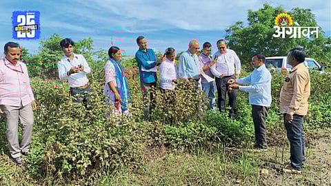 Crop Loss Inspection