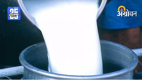Gokul Dairy