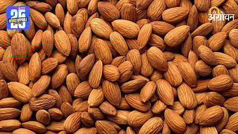 Almond
