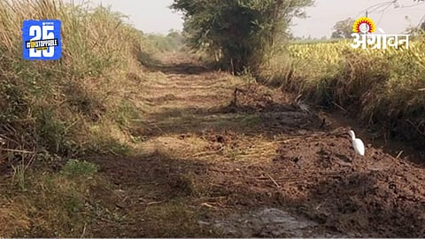 Farm Roads