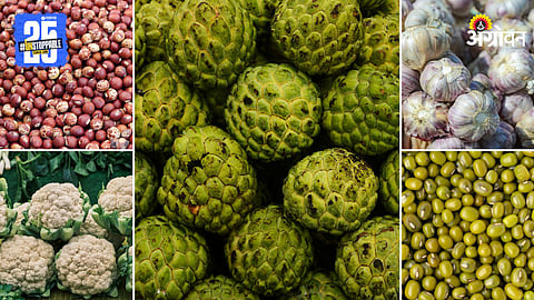 Agriculture Market Products