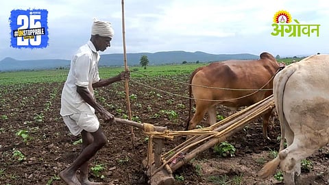 Rabi Cultivation