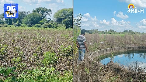 Flood Crop Damage
