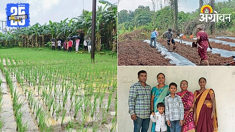 Agriculture Success Story 