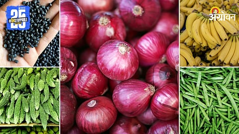 Agriculture Market Products