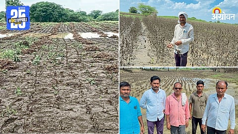 Agriculture Loss