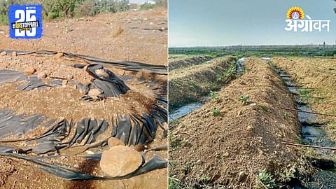 Soil Pollution 