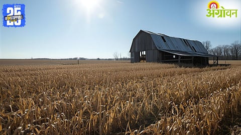 Farmers Loss