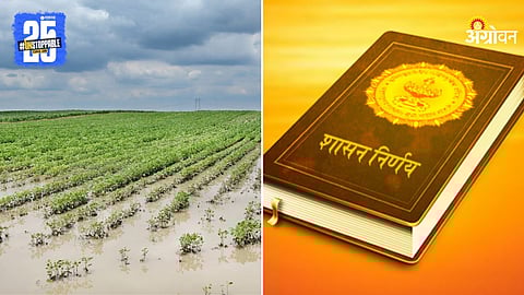 Crop Damage