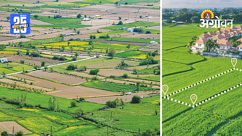 Land Law