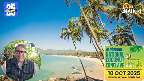 Coconut Farming 