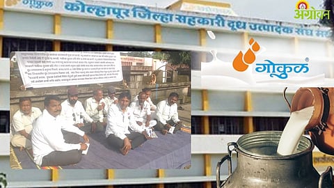 Gokul Dudh Sangh