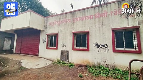 Veterinary Clinic