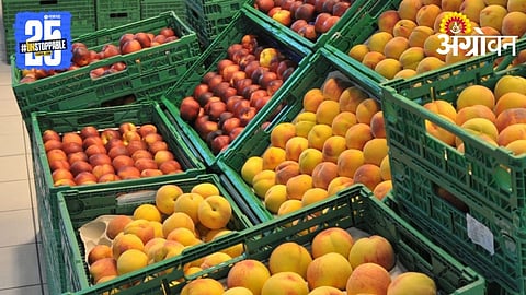 Agriculture Export Standards