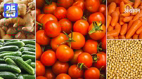 Agriculture Market Products