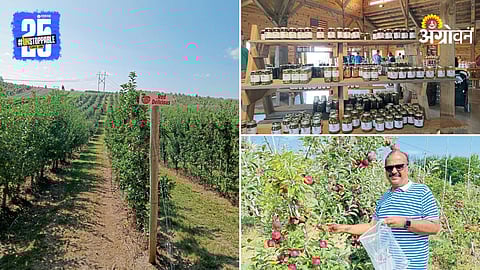 Americal Agriculture