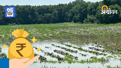 Farmer Relief