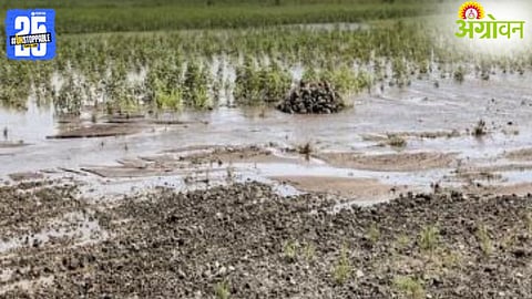 Crop Damage Compensation