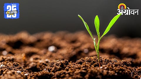 Soil Organic Matter