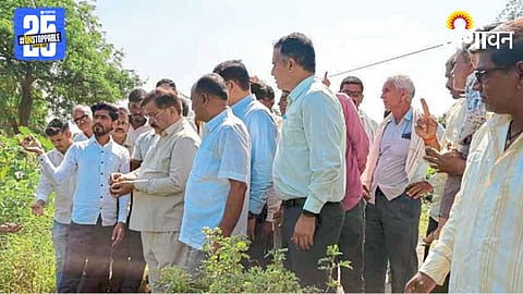 Farmer Issue 
