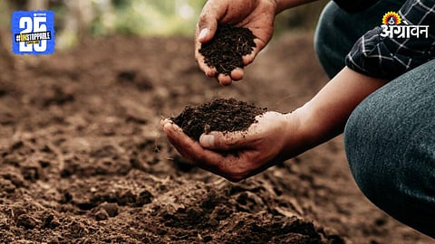 Soil