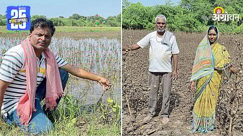 Farmer Issue