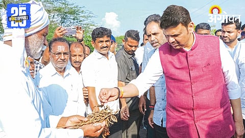 Crop Damage Maharashtra 
