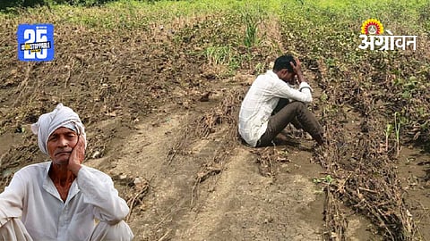 Farmer Crisis
