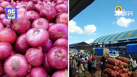 Onion Price Drop