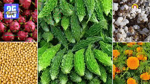 Agriculture Market Products