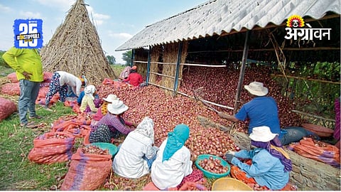 Onion Crisis