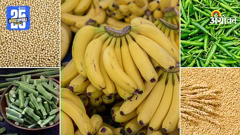 Agriculture Market Products