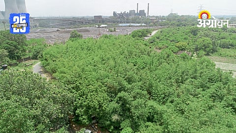 Coal Ash