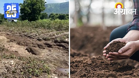 Soil Restoration