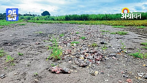 Maharashtra Flood Damage