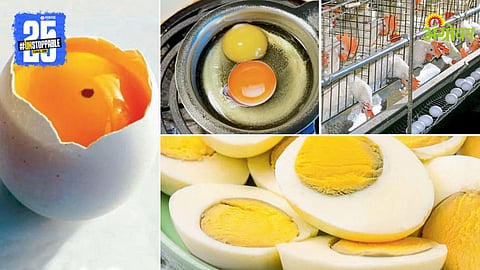 Eggs