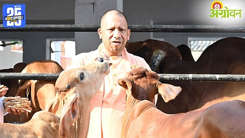 CM Yogi Adityanath